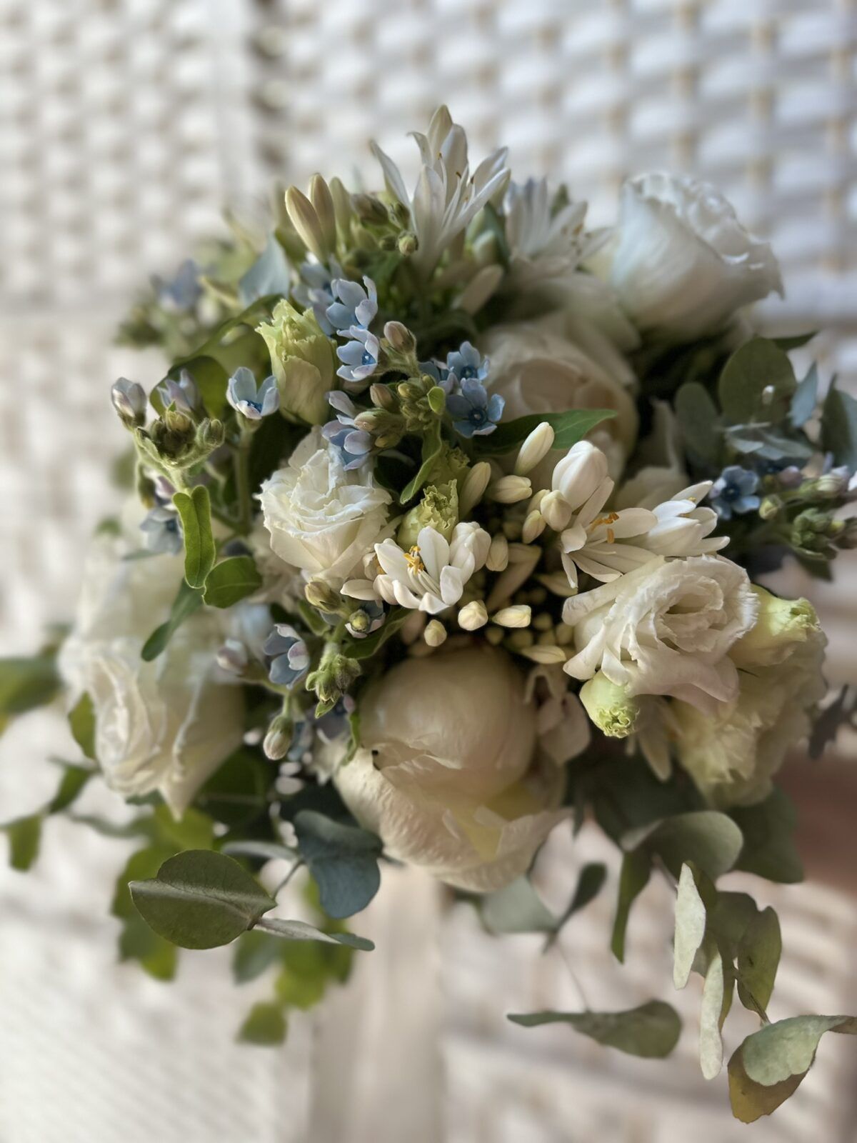 DENISE ANDREA MARNATE - CASC. CAMBIAGA (4)