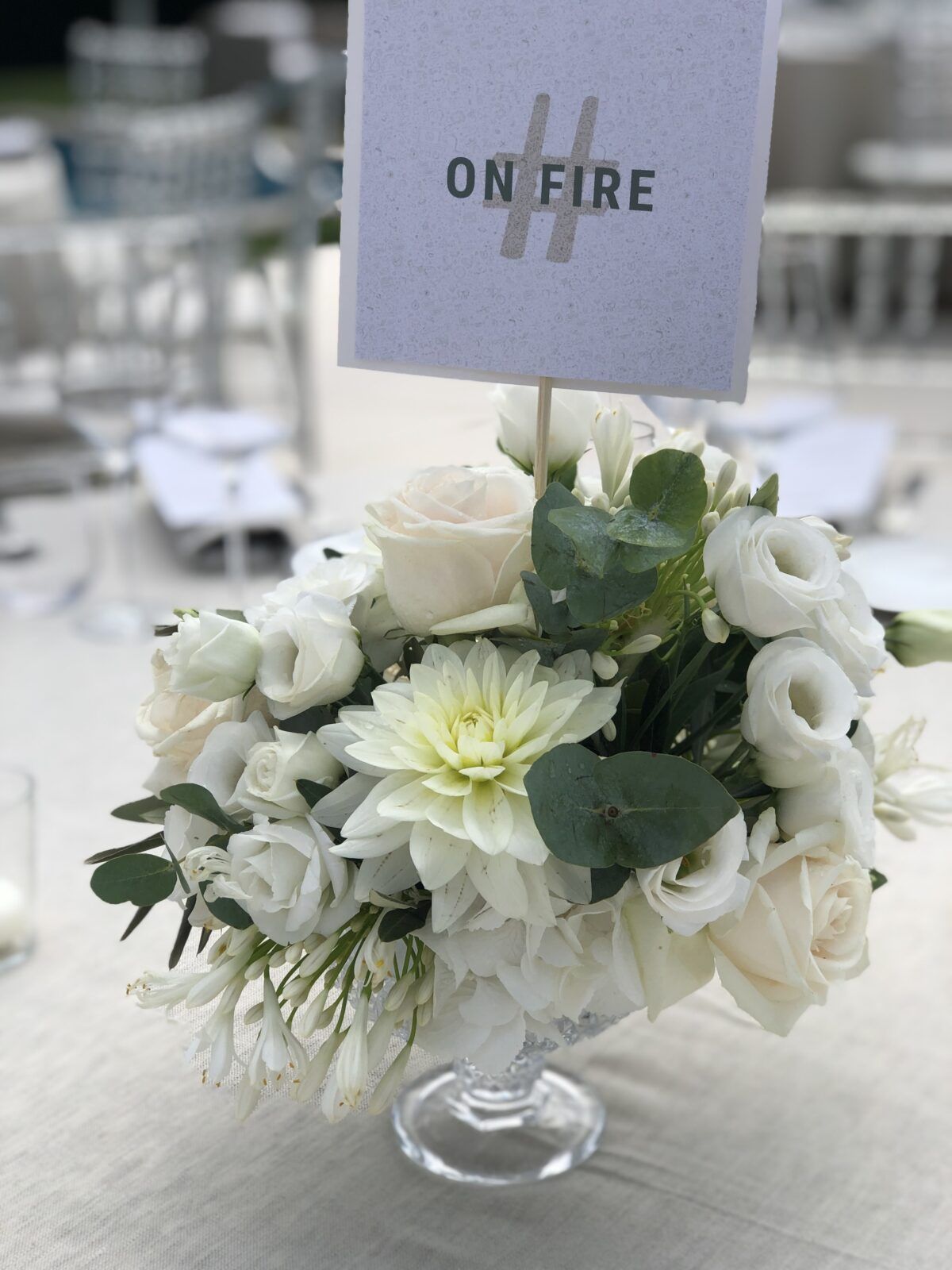 LARA MATTIA MANDELLO L (19)