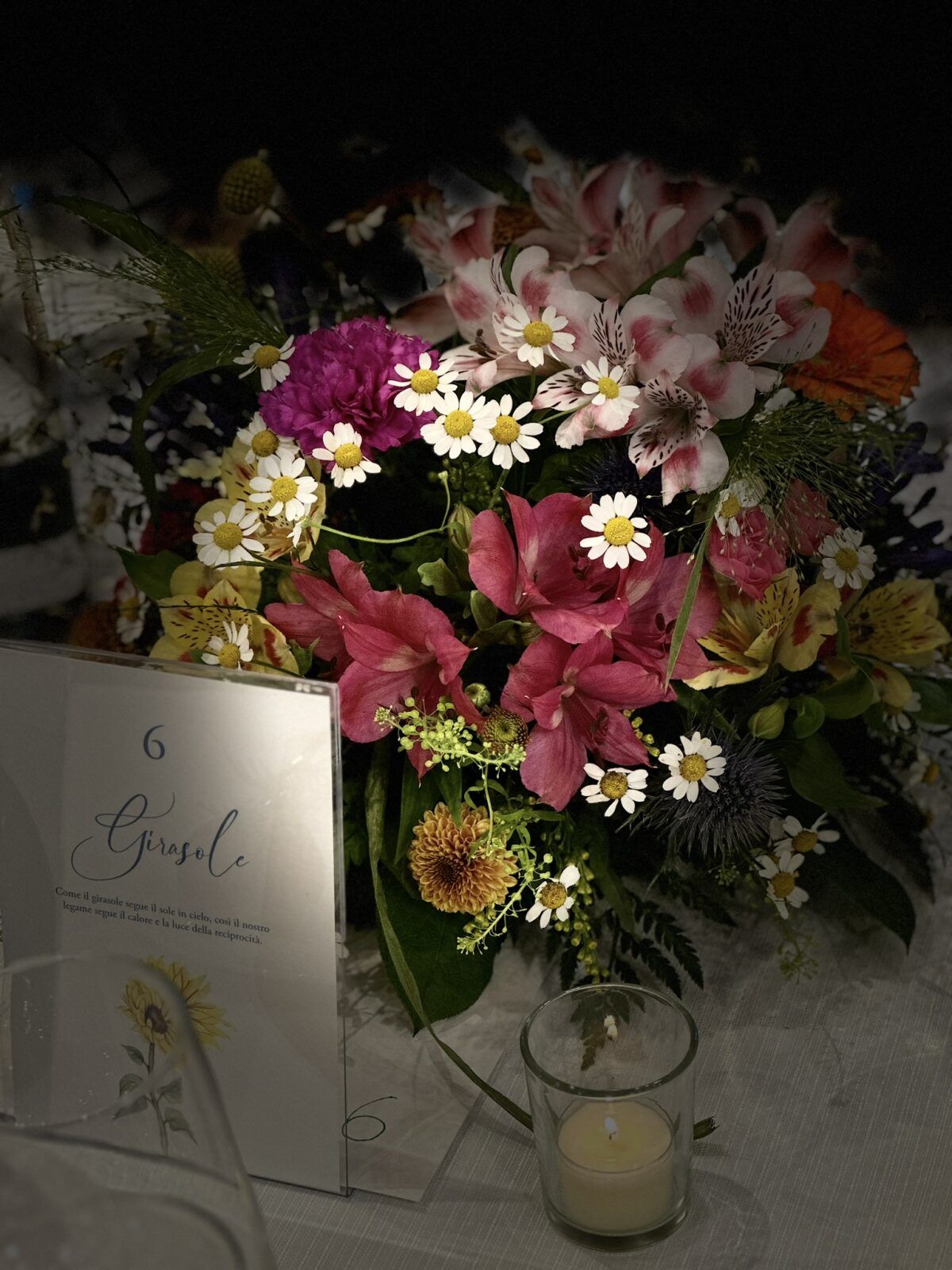 SHARON MARCO TURATE -PARRAVICINO ERBA (48)